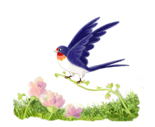 Bird-the-Barn-Swallow
