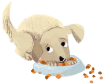 Puppy-dog